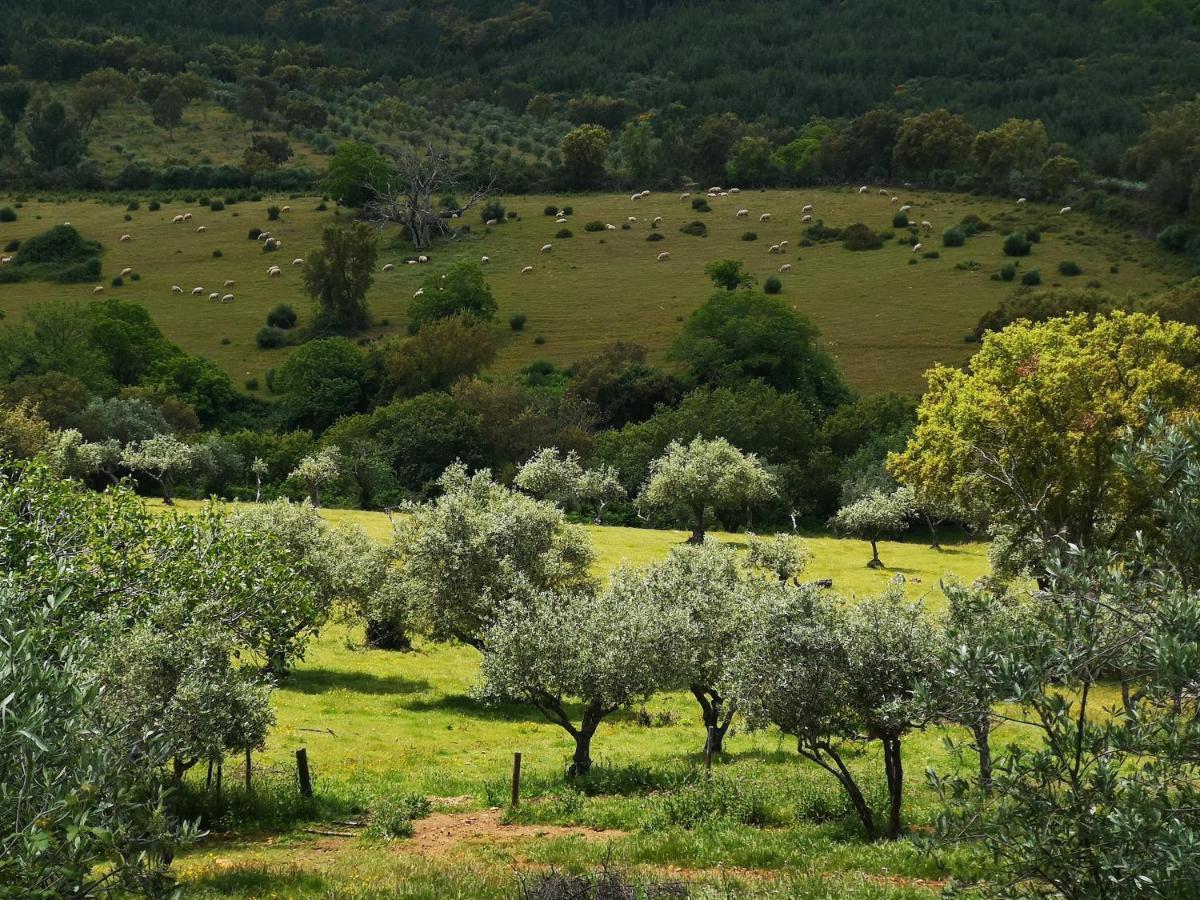 Monte Das Cascatas Marvão Exterior photo